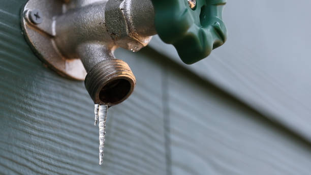 Best Shower Repair Services  in Redwood, TX
